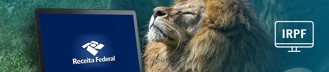 Ganho de capital em moeda estrangeira deve ser declarado no IR